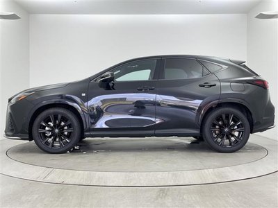 2025 Lexus NX — миниатюра 19