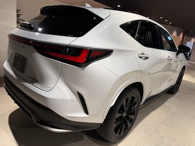 2023 Lexus NX — миниатюра 43