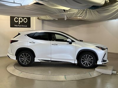 LEXUS NX - 10