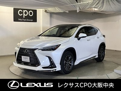 LEXUS NX - 1