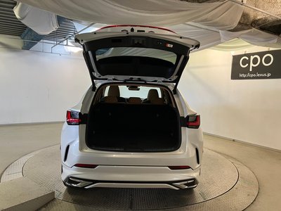LEXUS NX - 8