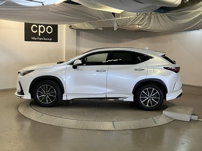 LEXUS NX - 6