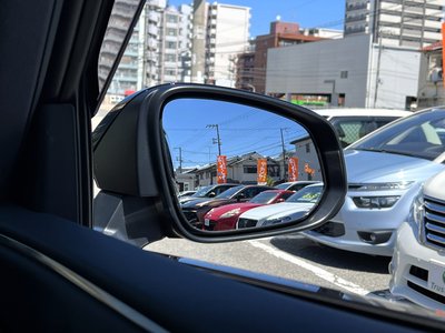 2024 Toyota VELLFIRE 缩略图 52