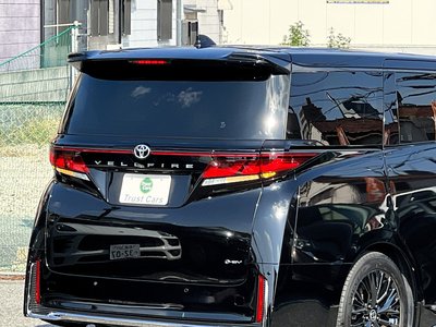 2024 Toyota VELLFIRE 缩略图 21