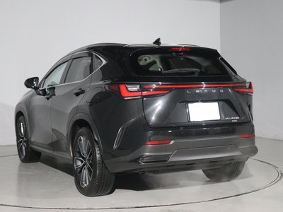 LEXUS NX - 7