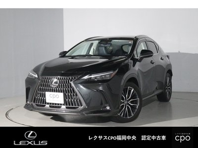 LEXUS NX - 1