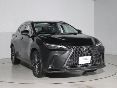 LEXUS NX - 10