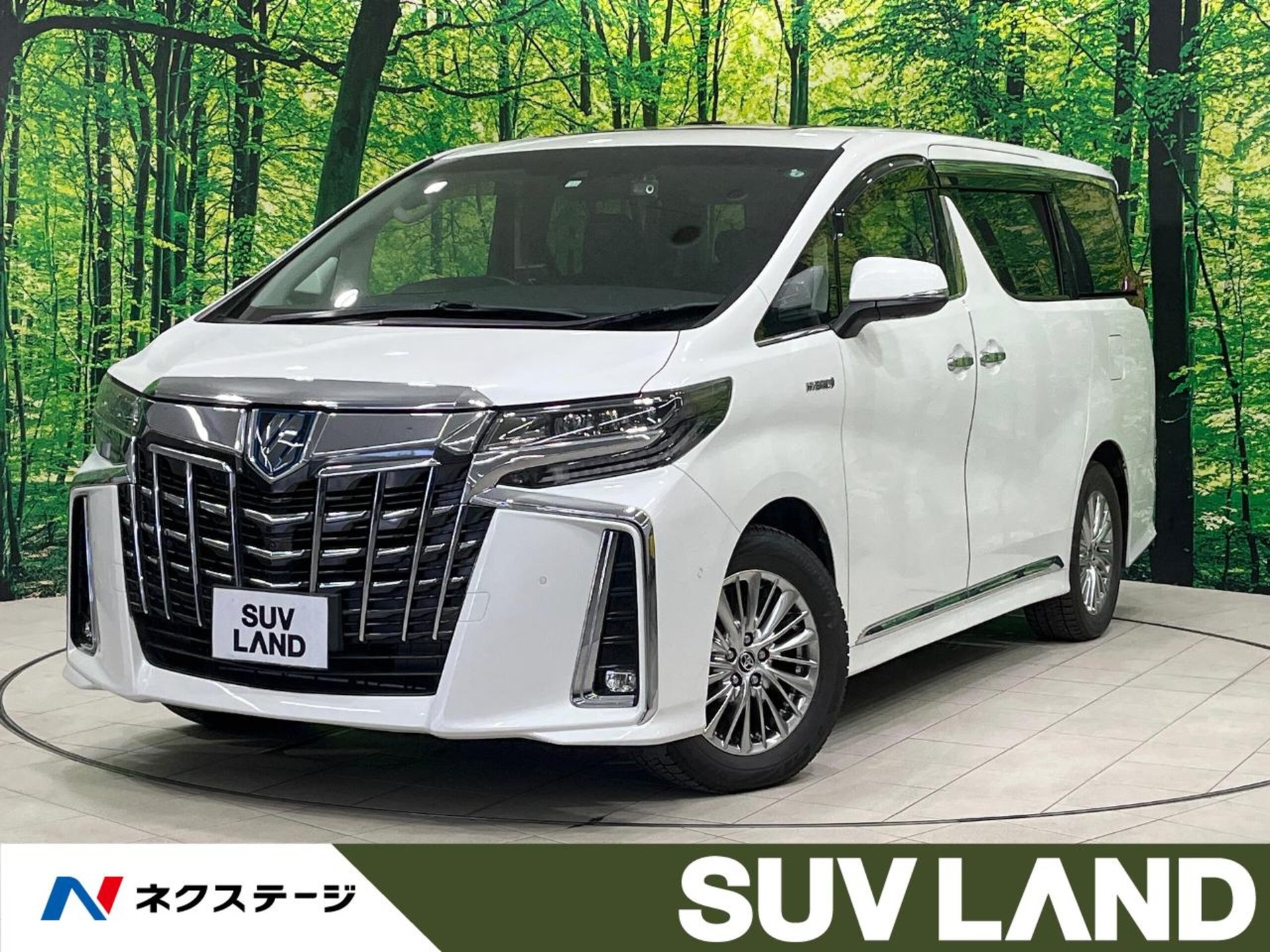 TOYOTA ALPHARD - View 1