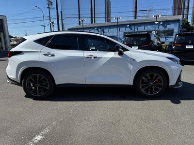 LEXUS NX - 10