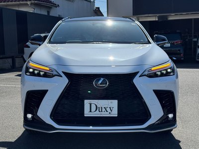 LEXUS NX - 8