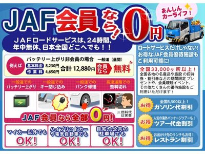 2025 Toyota LAND CRUISER 250 缩略图 41