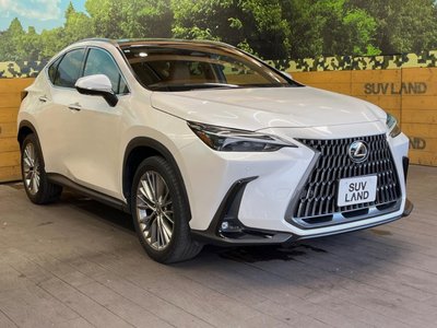 صورة مصغرة 16 لـ 2023 Lexus NX