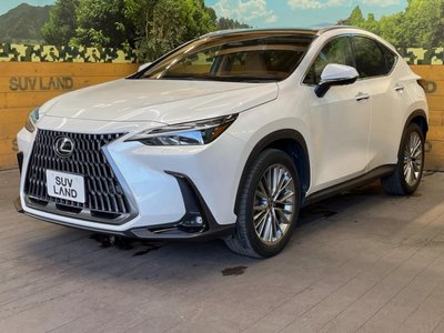 صورة مصغرة 55 لـ 2023 Lexus NX