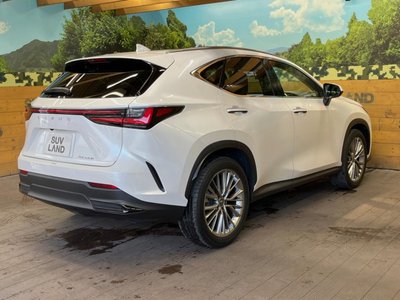 صورة مصغرة 17 لـ 2023 Lexus NX