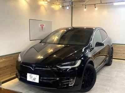 TESLA MODEL X - 1
