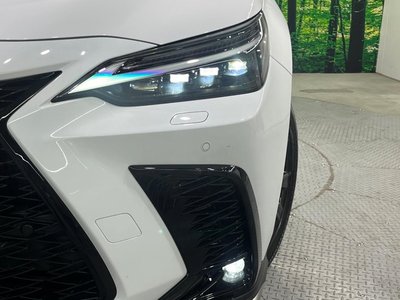 2025 Lexus NX — миниатюра 12