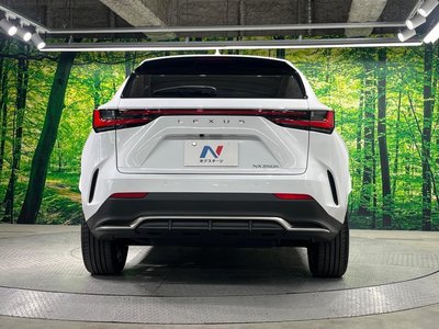 2025 Lexus NX — миниатюра 15