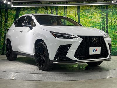 2025 Lexus NX — миниатюра 16