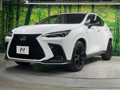 2025 Lexus NX — миниатюра 67