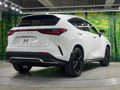 2025 Lexus NX — миниатюра 17