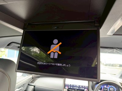 صورة مصغرة 70 لـ 2025 TOYOTA ALPHARD