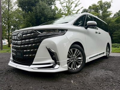2025 TOYOTA ALPHARD 照片 7