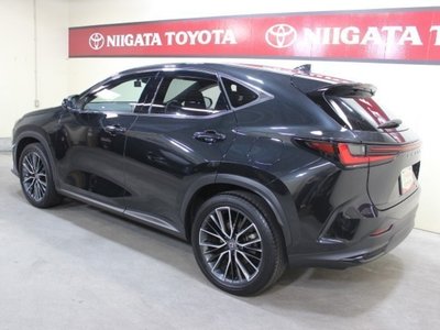 LEXUS NX - 10