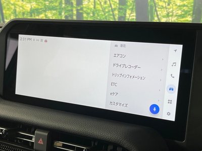 2024 Toyota LAND CRUISER 250 — миниатюра 35