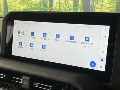 2024 Toyota LAND CRUISER 250 — миниатюра 34