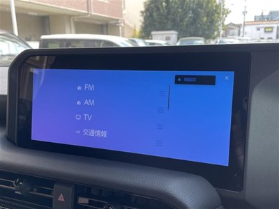 TOYOTA LAND CRUISER 250 - 5