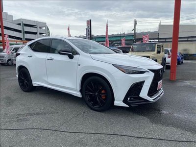 2024 Lexus NX 缩略图 11