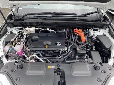2024 Lexus NX 缩略图 22