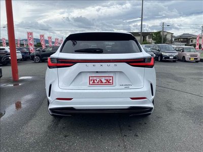 2024 Lexus NX 缩略图 20