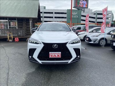 2024 Lexus NX 缩略图 21