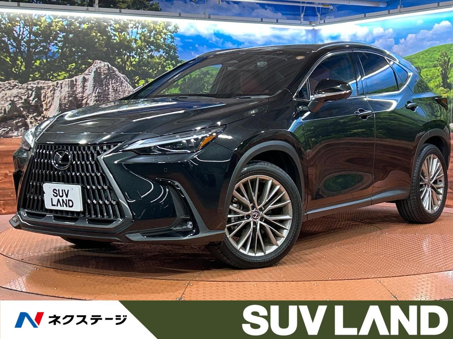 LEXUS NX - View 1