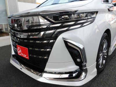 2025 Toyota ALPHARD — миниатюра 16