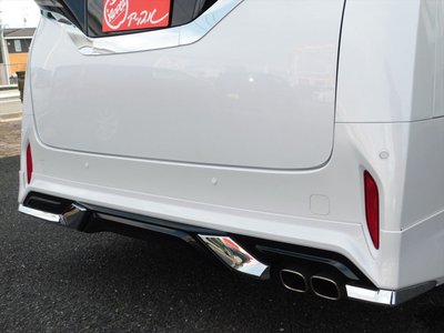2025 Toyota ALPHARD — миниатюра 24