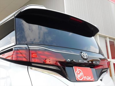 2025 Toyota ALPHARD — миниатюра 29