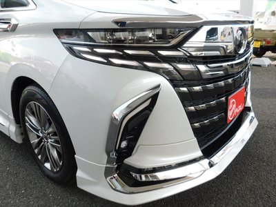 2025 Toyota ALPHARD — миниатюра 15