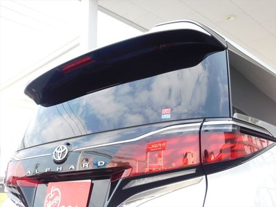 2025 Toyota ALPHARD — миниатюра 25