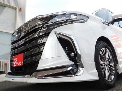 2025 Toyota ALPHARD — миниатюра 18