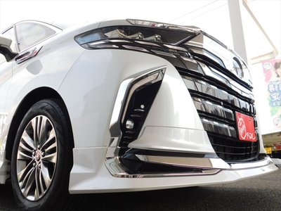 2025 Toyota ALPHARD — миниатюра 17
