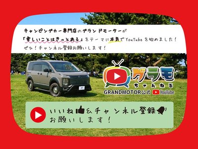 2018 Toyota VELLFIRE 缩略图 21