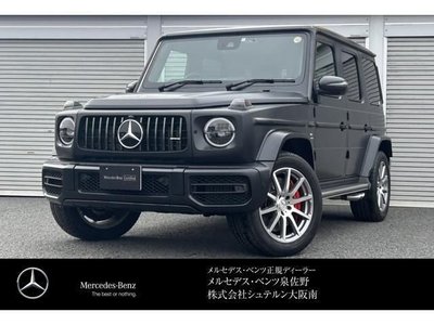 MERCEDES-BENZ G-CLASS - 1
