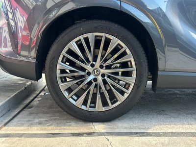 2025 Lexus RX — миниатюра 49