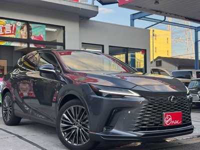 2025 Lexus RX — миниатюра 13