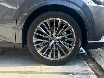 2025 Lexus RX — миниатюра 50