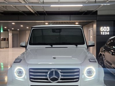 MERCEDES-BENZ G-CLASS - 1