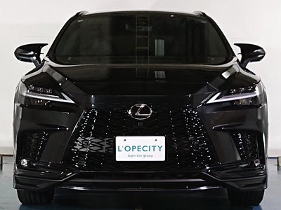 2026 LEXUS RX photo 4