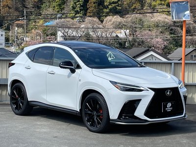 LEXUS NX - 6